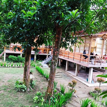 Bua Guesthouse Tangkahan Kültér fotó