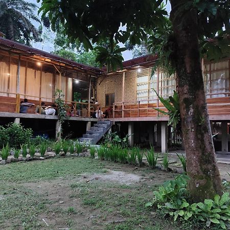 Bua Guesthouse Tangkahan Kültér fotó