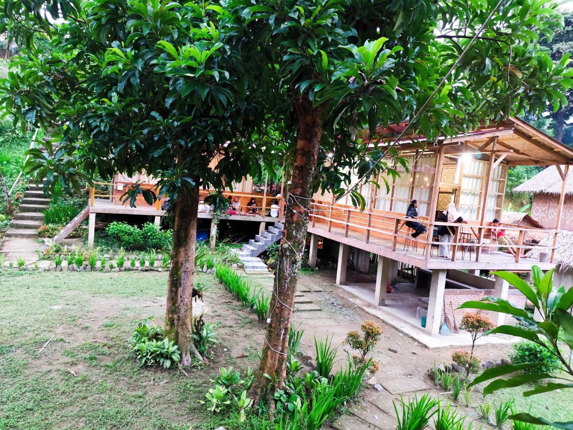 Bua Guesthouse Tangkahan Kültér fotó