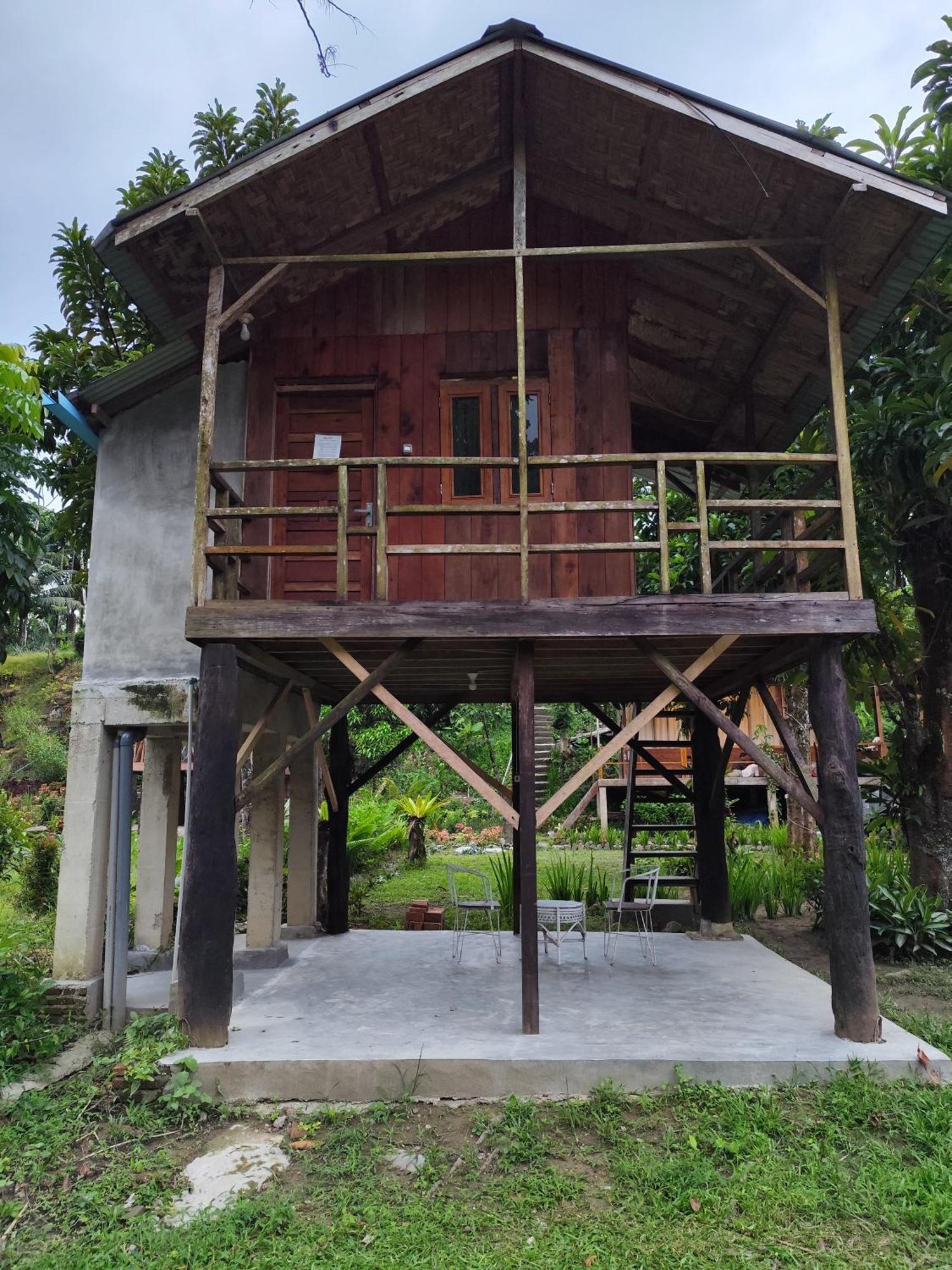Bua Guesthouse Tangkahan Kültér fotó