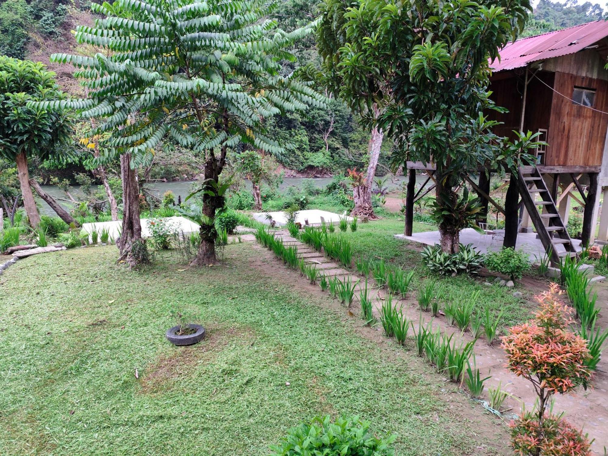 Bua Guesthouse Tangkahan Kültér fotó