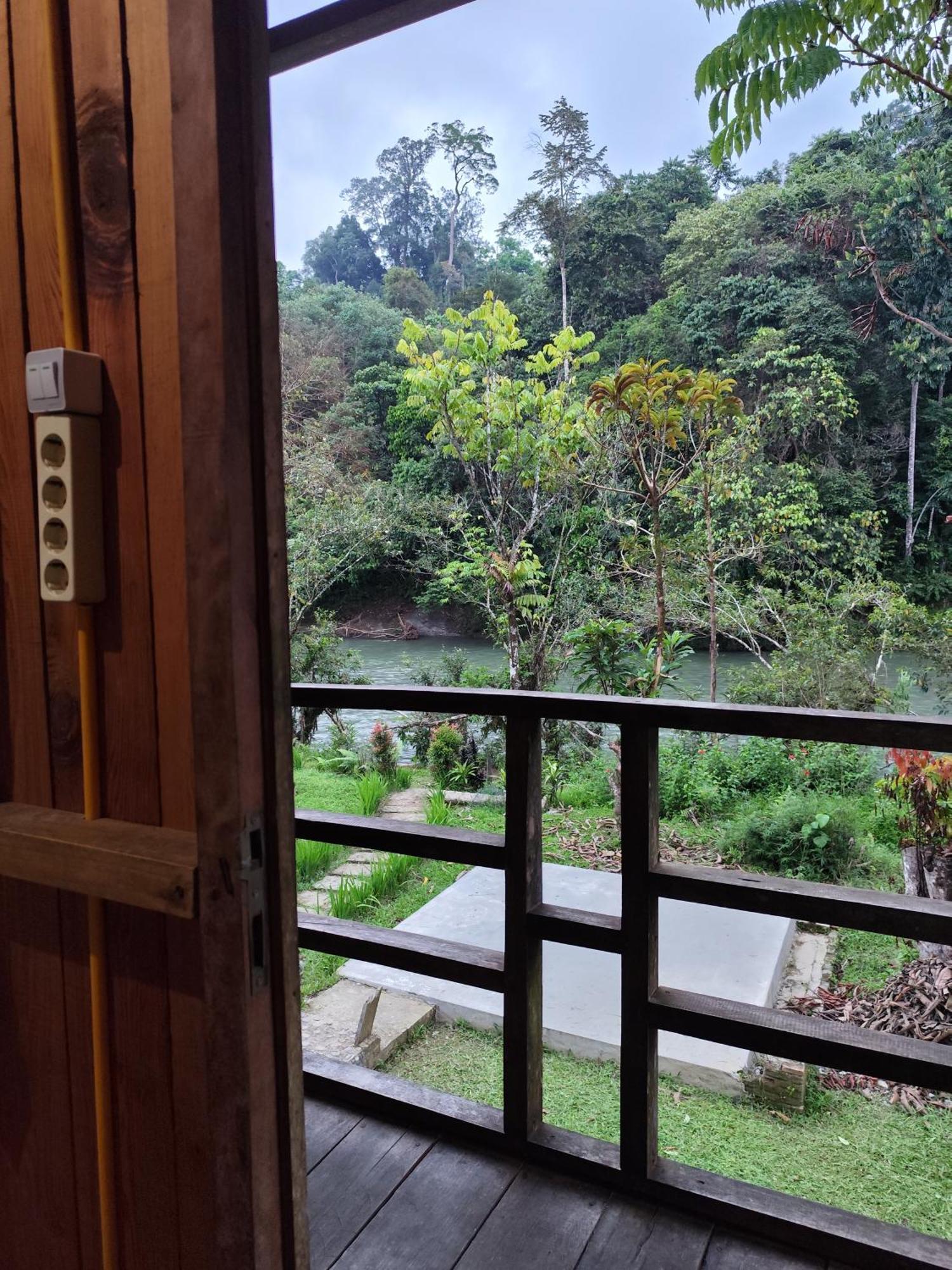 Bua Guesthouse Tangkahan Kültér fotó