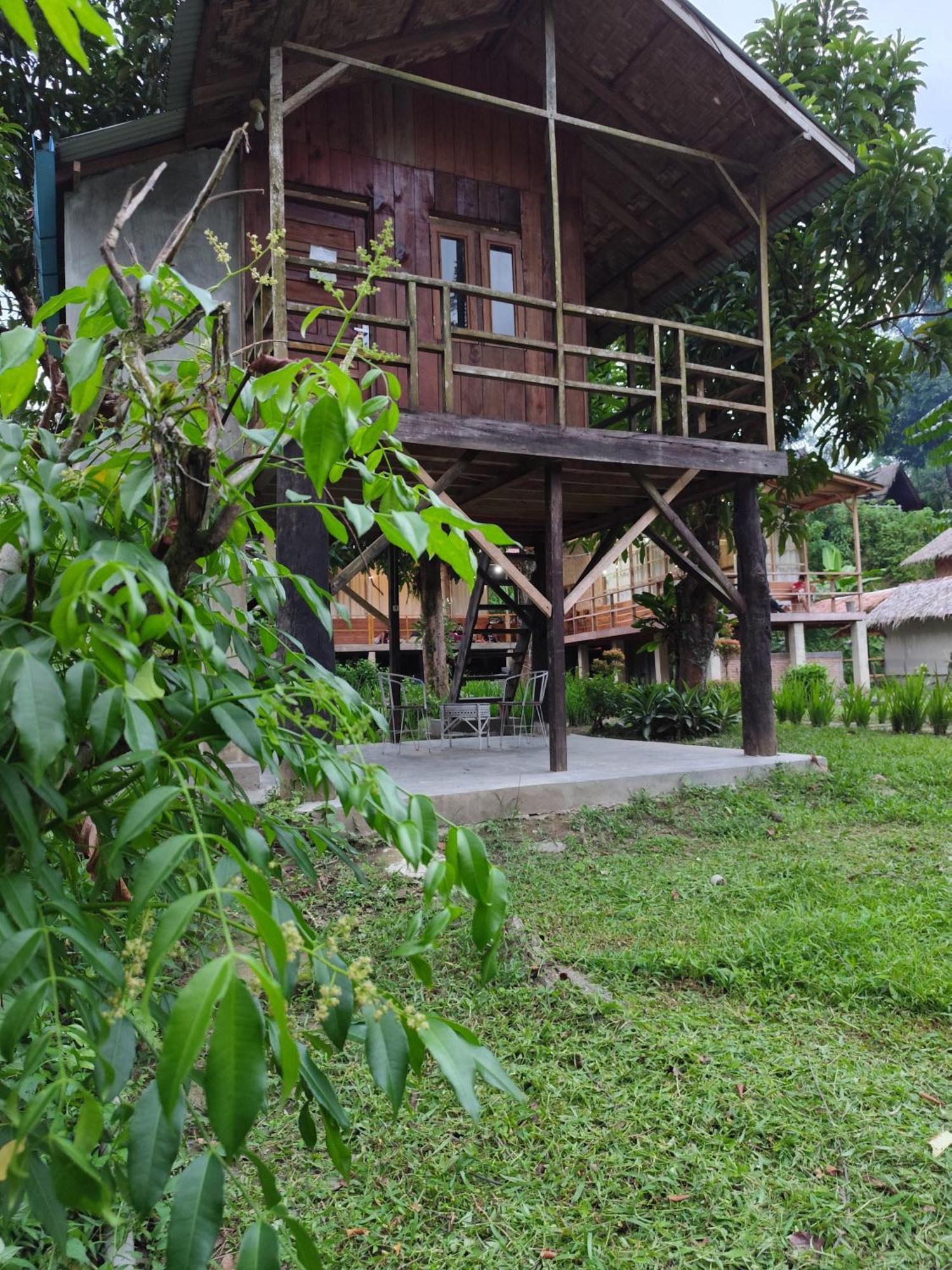 Bua Guesthouse Tangkahan Kültér fotó