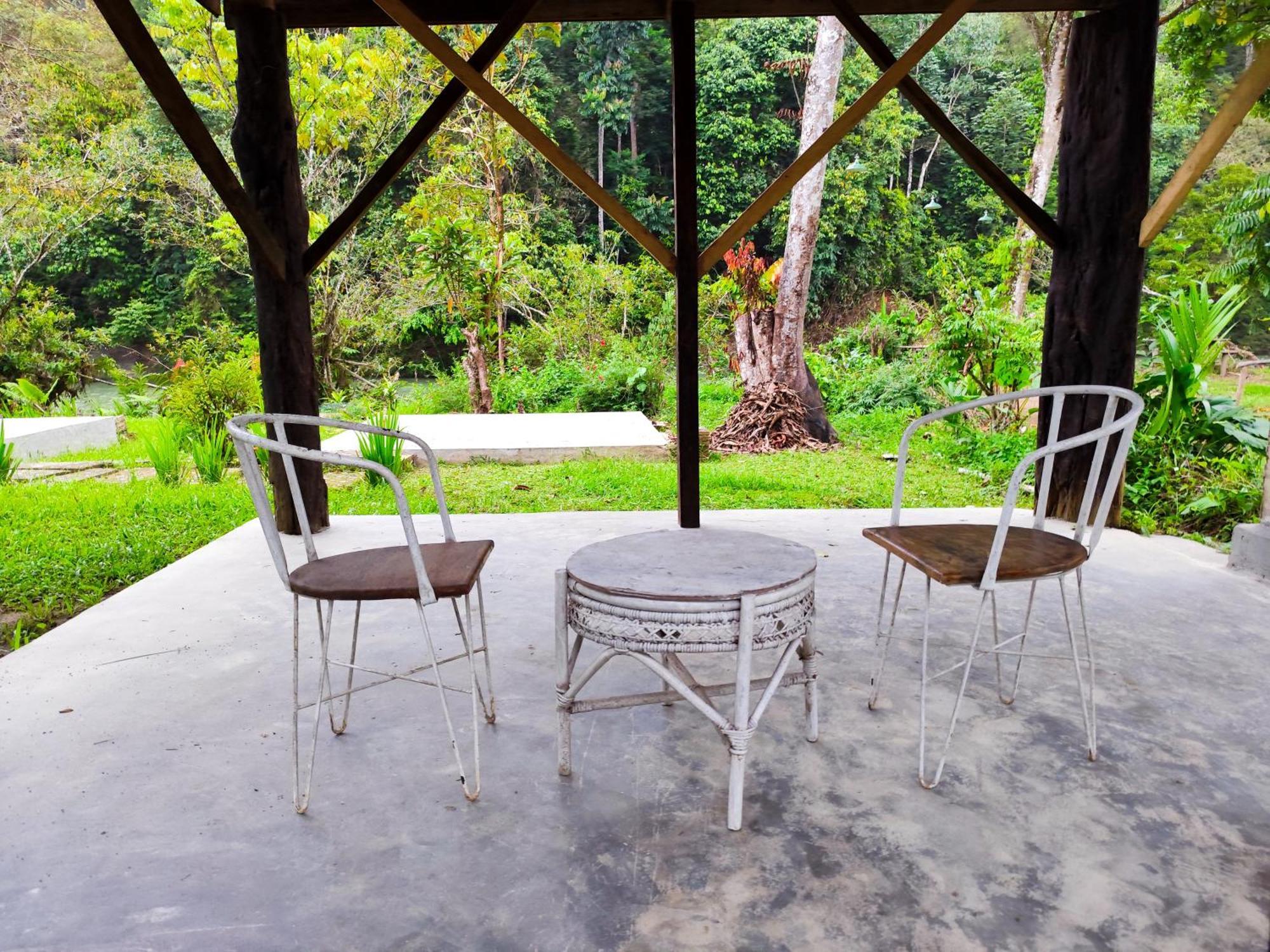 Bua Guesthouse Tangkahan Kültér fotó
